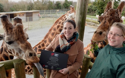 Folly Farm Adventure Park